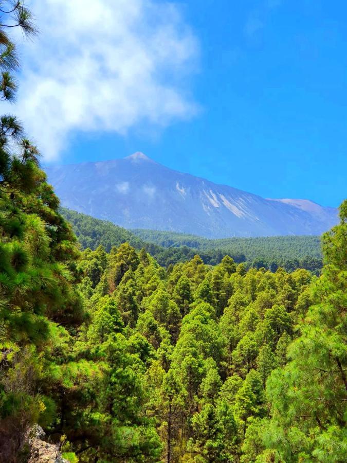 Monte Frio De Tenerife La Guancha Екстер'єр фото