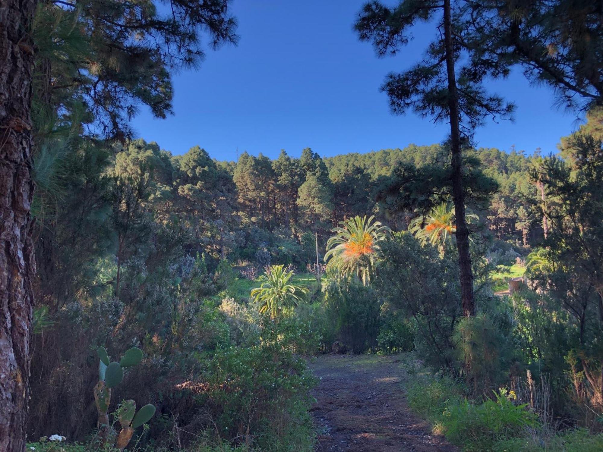 Monte Frio De Tenerife La Guancha Екстер'єр фото