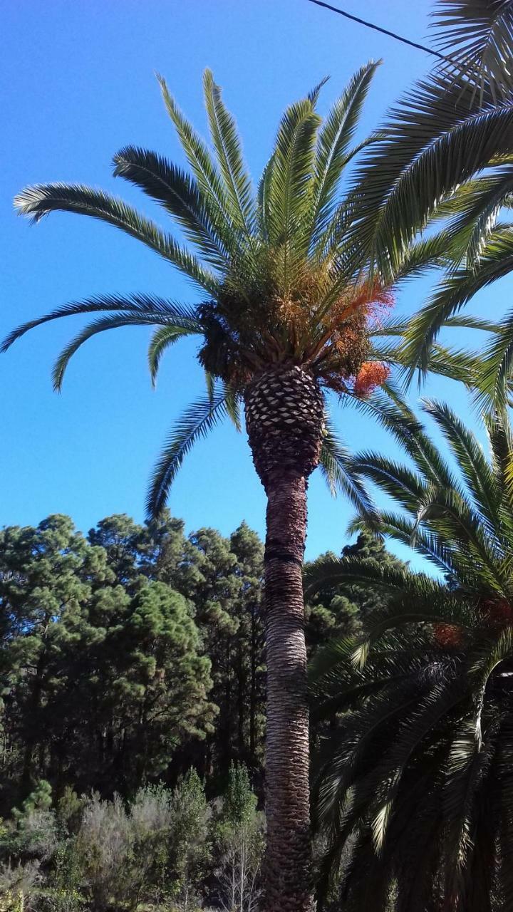 Monte Frio De Tenerife La Guancha Екстер'єр фото